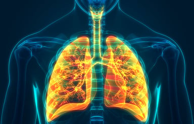 A New Approach to Study Air Pollutant-Induced Lung Pathology