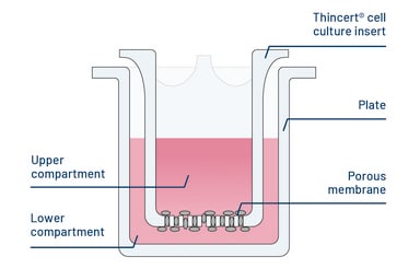 3D_ThinCert Covid_Decision_klein